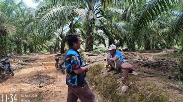 Kasus Pemalsuan Tanda Tangan: Jejak AJB Bermasalah dan Dugaan Penguasaan Lahan Warga Lae Saga, Penyidik Diuji